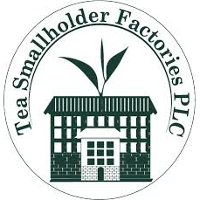 Tea Small Holders Factories PLC